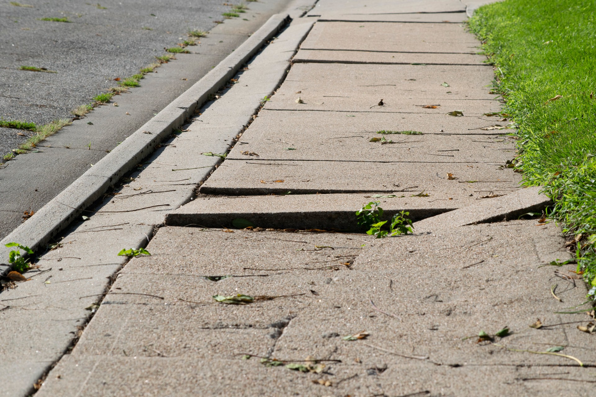 Public Sidewalk Damage